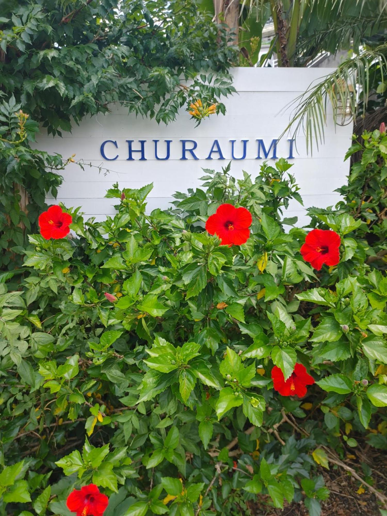 Guest House Churaumi 下田市 エクステリア 写真