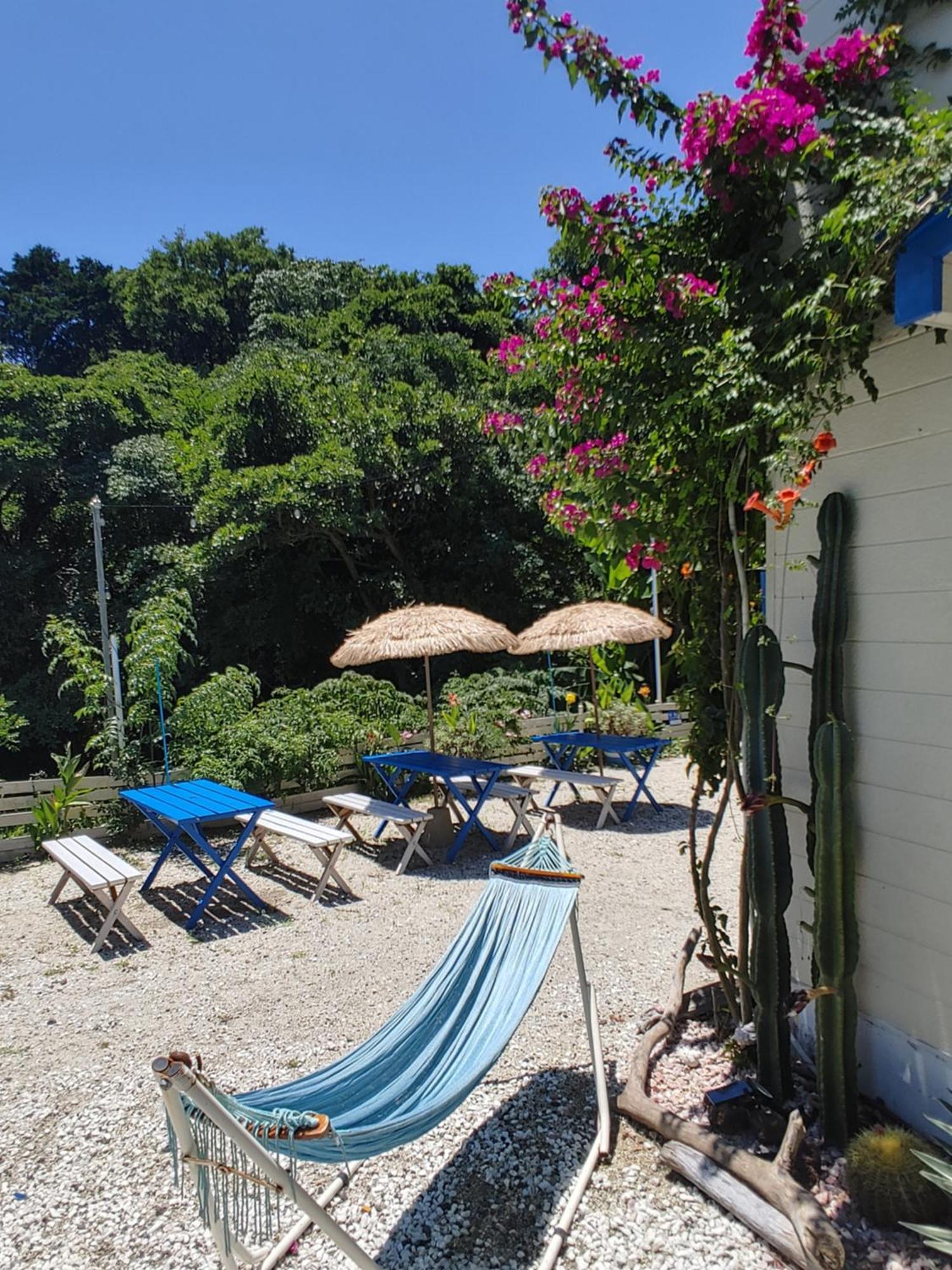 Guest House Churaumi 下田市 エクステリア 写真